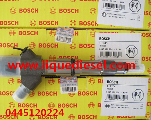 КИТАЙ Инжектор 0445120224,0445120170 коллектора системы впрыска топлива BOSCH для WEICHAI WP10 612600080618 поставщик