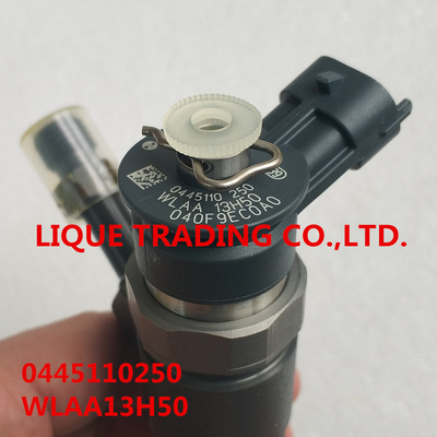 КИТАЙ ИНЖЕКТОР 0445110250 BOSCH, 0 445 110 250, WLAA-13H50, WLAA13H50, WLAA 13H50 поставщик