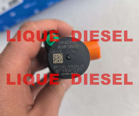 КИТАЙ DELPHI Форсунка Common Rail 28602948 9674984080 28388960 28319895 поставщик