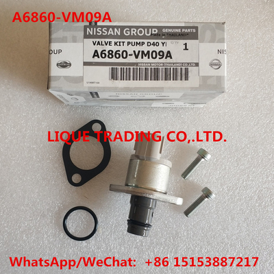 Китай Наборы A6860-VM09A тщательного осмотра NISSAN, A6860VM09A, A6860 VM09A = 1460A037 включают клапан 294200-0360 поставщик