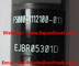 Инжектор EJBR05301D коллектора системы впрыска топлива EJBR05301D первоначальный для YUCHAI F50001112100011 поставщик