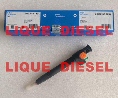 DELPHI Инжектор общего рельса 28602948 9674984080 28388960 28319895 D57Q-9F-893-BB поставщик